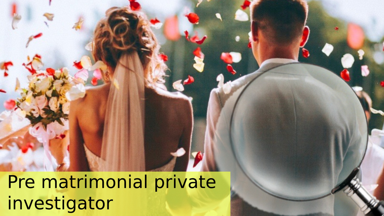 Pre matrimonial private investigator