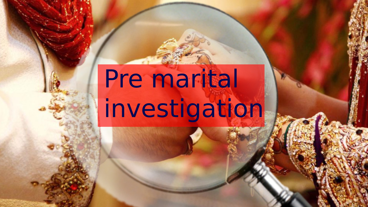 Pre marital investigation